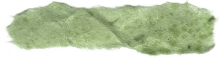 Moss Green Colored Paper