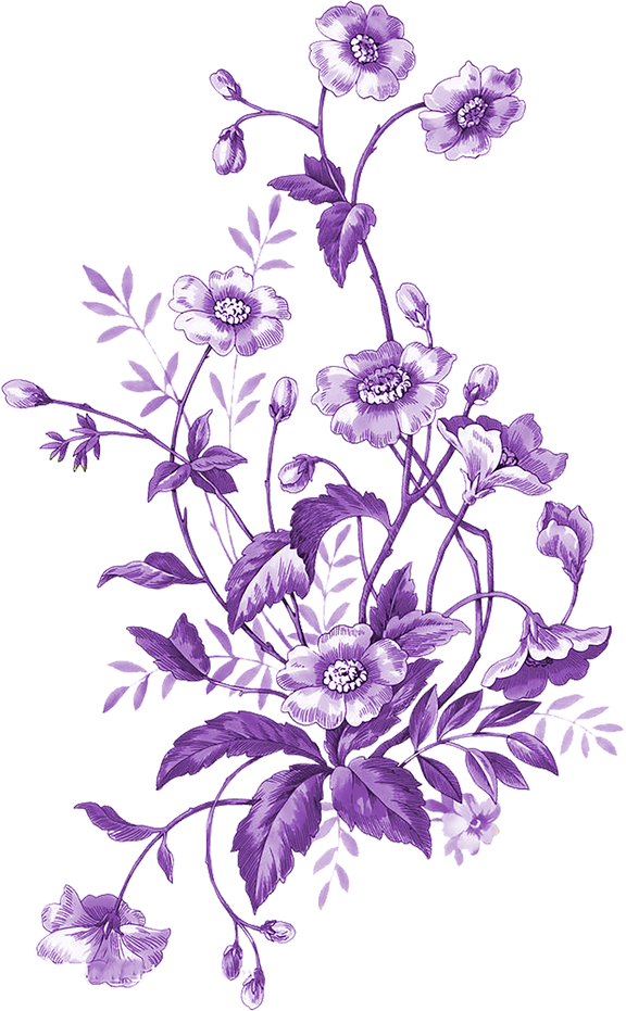 Purple Flowers Illustration 